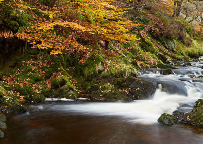 River Goyt in the Goyt Valley, Derbyshire.