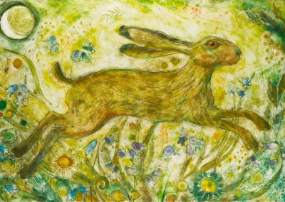 Summer Hare