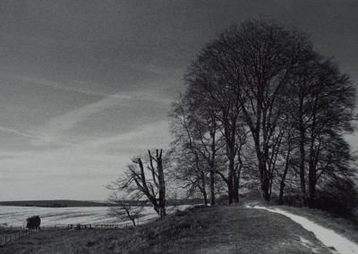 Avebury Henge