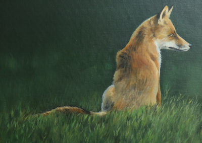 Fox