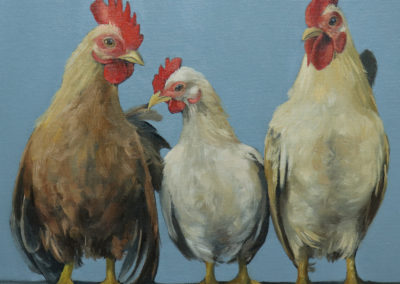 Chickens in a Row