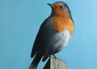 Robin