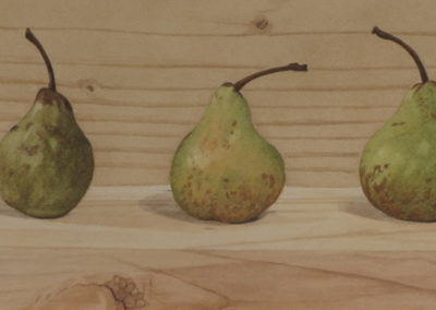 Pears on a shelf
