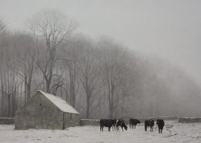Wintering cattle