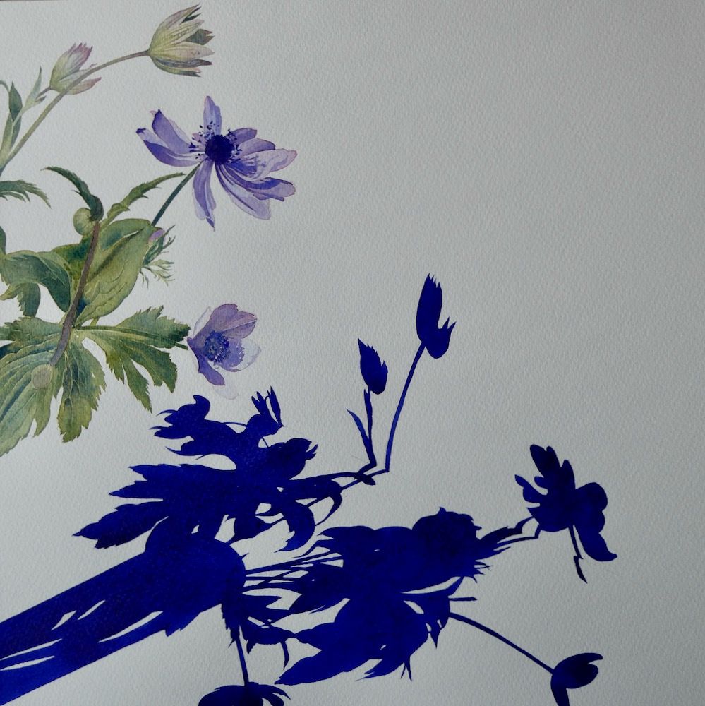 A painting of flower shadows with a glimpse of the flowers