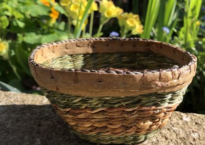 Oval pot iris and daylily leaves with bark rim