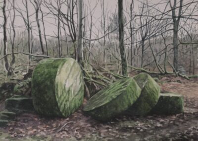 Millstones below Stanton Moor